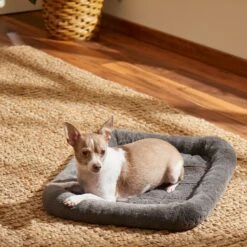 Frisco Fold & Carry Single Door Collapsible Wire Dog Crate & Frisco Quilted Plush Dog Crate Mat -Frisco Sales Store 255501 PT4. AC SS1800 V1604097719
