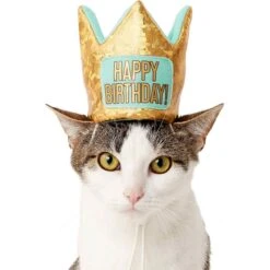 Frisco Happy Birthday Dog & Cat Crown & Frisco Dog & Cat Birthday Bandana -Frisco Sales Store 255523 PT2. AC SS1800 V1603716120