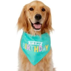 Frisco Happy Birthday Dog & Cat Crown & Frisco Dog & Cat Birthday Bandana -Frisco Sales Store 255523 PT3. AC SS1800 V1603716114