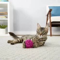 Frisco Moppy Ball Cat Toy With Catnip & Frisco Moppy Ball Cat Toy With Catnip -Frisco Sales Store 255585 PT4. AC SS1800 V1602691598