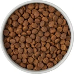 Frisco Ceramic Food Dog & Cat Bowl With Wood Base 10 Frisco Ceramic Food Dog & Cat Bowl With Wood Base -Frisco Sales Store 256043 PT6. AC SS1800 V1615311151