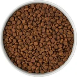 Frisco Paw Prints Non-skid Ceramic Bowl 11 Frisco Paw Prints Non-skid Ceramic Bowl -Frisco Sales Store 256072 PT5. AC SS1800 V1615312318