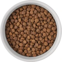 Frisco Bones Non-skid Ceramic Dog & Cat Bowl 11 Frisco Bones Non-skid Ceramic Dog & Cat Bowl -Frisco Sales Store 256074 PT5. AC SS1800 V1615312010