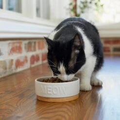 Frisco Round Meow Non-skid Ceramic Cat Bowl With Wood Base 8 Frisco Round Meow Non-skid Ceramic Cat Bowl With Wood Base -Frisco Sales Store 256078 PT2. AC SS1800 V1615313612
