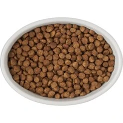 Frisco Oval Meow Non-skid Ceramic Cat Bowl With Wood Base 11 Frisco Oval Meow Non-skid Ceramic Cat Bowl With Wood Base -Frisco Sales Store 256080 PT5. AC SS1800 V1615312016