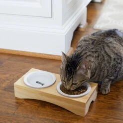 Frisco Double Elevated Cat Bowl With Wood Stand 8 Frisco Double Elevated Cat Bowl With Wood Stand -Frisco Sales Store 256082 PT2. AC SS1800 V1615312650