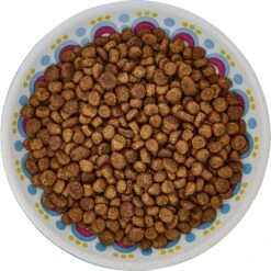 Frisco Kaleidoscope Pattern Non-skid Ceramic Cat Dish -Frisco Sales Store 256092 PT5. AC SS1800 V1617042691