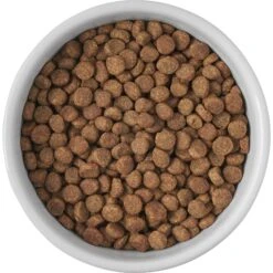 Frisco Cat Print Non-skid Elevated Ceramic Cat Bowl, Short -Frisco Sales Store 256096 PT4. AC SS1800 V1616522576