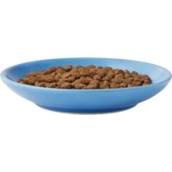 Frisco Cat Face Non-skid Ceramic Cat Dish, Blue -Frisco Sales Store 256101 PT4. AC SS1800 V1617130592