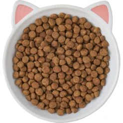 Frisco Cat Face Non-skid Ceramic Cat Dish -Frisco Sales Store 256105 PT5. AC SS1800 V1615321295