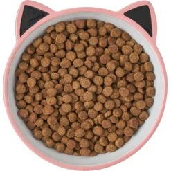 Frisco Cat Face Non-skid Ceramic Cat Bowl, Pink 9 Frisco Cat Face Non-skid Ceramic Cat Bowl, Pink -Frisco Sales Store 256107 PT5. AC SS1800 V1616522494