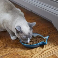 Frisco Fish Shaped Non-skid Ceramic Cat Dish 10 Frisco Fish Shaped Non-skid Ceramic Cat Dish -Frisco Sales Store 256109 PT3. AC SS1800 V1617196297