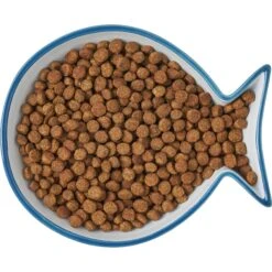 Frisco Fish Shaped Non-skid Ceramic Cat Dish 13 Frisco Fish Shaped Non-skid Ceramic Cat Dish -Frisco Sales Store 256109 PT6. AC SS1800 V1617196895