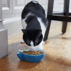 Frisco Fish Shaped Non-skid Ceramic Cat Bowl 12 Frisco Fish Shaped Non-skid Ceramic Cat Bowl -Frisco Sales Store 256111 PT6. AC SS1800 V1617037703