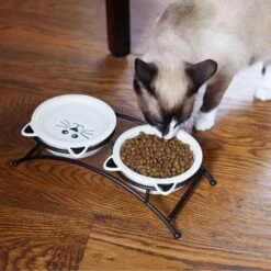 Frisco Cat Face Non-skid Elevated Double Ceramic Cat Bowl -Frisco Sales Store 256113 PT2. AC SS1800 V1616522604