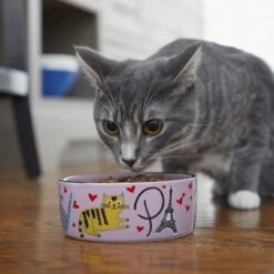 Frisco Paris Non-skid Ceramic Cat Dish -Frisco Sales Store 256117 PT2. AC SS1800 V1615311397