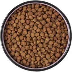 Frisco Paris Non-skid Ceramic Cat Dish -Frisco Sales Store 256117 PT5. AC SS1800 V1615311392