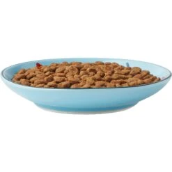Frisco New York Non-skid Ceramic Cat Dish 12 Frisco New York Non-skid Ceramic Cat Dish -Frisco Sales Store 256119 PT5. AC SS1800 V1618494742