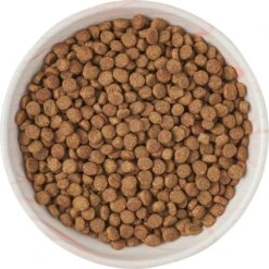 Frisco Marble Design Non-skid Ceramic Cat Bowl 10 Frisco Marble Design Non-skid Ceramic Cat Bowl -Frisco Sales Store 256125 PT5. AC SS1800 V1615311382