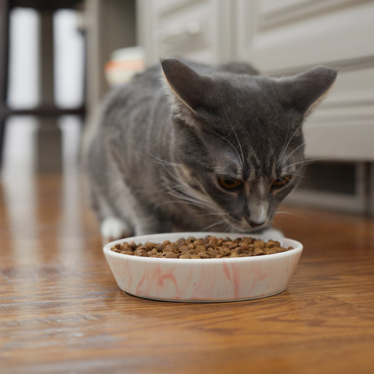 Frisco Marble Design Non-skid Ceramic Cat Bowl 6 Frisco Marble Design Non-skid Ceramic Cat Bowl - Image 6