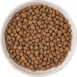 Frisco Marble Design Non-skid Ceramic Cat Dish -Frisco Sales Store 256127 PT5. AC SS1800 V1615321285