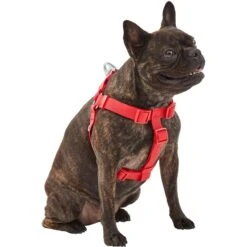 Frisco Outdoor Solid Textured Waterproof Stink Proof PVC Dog Harness -Frisco Sales Store 256518 PT2. AC SS1800 V1625164704