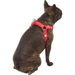 Frisco Outdoor Solid Textured Waterproof Stink Proof PVC Dog Harness -Frisco Sales Store 256518 PT3. AC SS1800 V1625164999