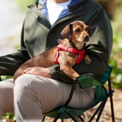 Frisco Outdoor Solid Textured Waterproof Stink Proof PVC Dog Harness -Frisco Sales Store 256518 PT5. AC SS1800 V1625587387