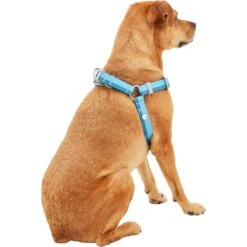 Frisco Outdoor Two Tone Waterproof Stinkproof PVC Dog Harness -Frisco Sales Store 256580 PT3. AC SS1800 V1625164715