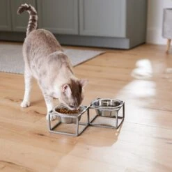 Frisco Elevated Diamond Stainless Steel Double Diner Dog & Cat Bowl 12 Frisco Elevated Diamond Stainless Steel Double Diner Dog & Cat Bowl -Frisco Sales Store 257147 PT5. AC SS1800 V1615989105