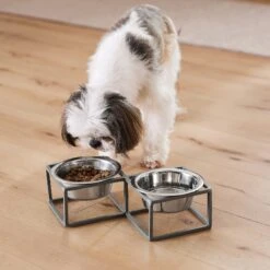 Frisco Elevated Diamond Stainless Steel Double Diner Dog & Cat Bowl 13 Frisco Elevated Diamond Stainless Steel Double Diner Dog & Cat Bowl -Frisco Sales Store 257147 PT8. AC SS1800 V1615840442