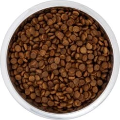 Frisco Black Iron Non-Skid Stainless Steel Dog & Cat Bowl 12 Frisco Black Iron Non-Skid Stainless Steel Dog & Cat Bowl -Frisco Sales Store 257152 PT4. AC SS1800 V1615311427