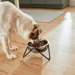 Frisco Triangle Iron Non-Skid Elevated Dog & Cat Bowl -Frisco Sales Store 257155 PT5. AC SS1800 V1692987369