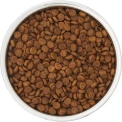 Frisco Insulated Two-Toned Non-Skid Stainless Steel Dog & Cat Bowl 11 Frisco Insulated Two-Toned Non-Skid Stainless Steel Dog & Cat Bowl -Frisco Sales Store 257168 PT4. AC SS1800 V1612367255