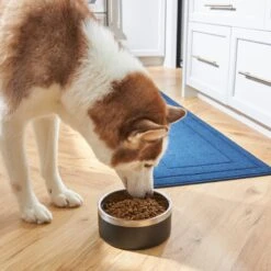 Frisco Insulated Two-Toned Non-Skid Stainless Steel Dog & Cat Bowl 13 Frisco Insulated Two-Toned Non-Skid Stainless Steel Dog & Cat Bowl -Frisco Sales Store 257168 PT8. AC SS1800 V1615840126