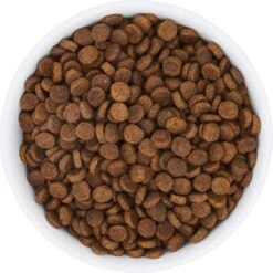 Frisco Bohemian Non-Skid Stainless Steel Dog & Cat Bowl 13 Frisco Bohemian Non-Skid Stainless Steel Dog & Cat Bowl -Frisco Sales Store 257195 PT4. AC SS1800 V1615311089