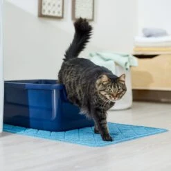 Frisco Quilted Cat Litter Mat -Frisco Sales Store 258210 PT3. AC SS1800 V1675279933