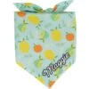 Frisco Citrus Personalized Dog & Cat Bandana