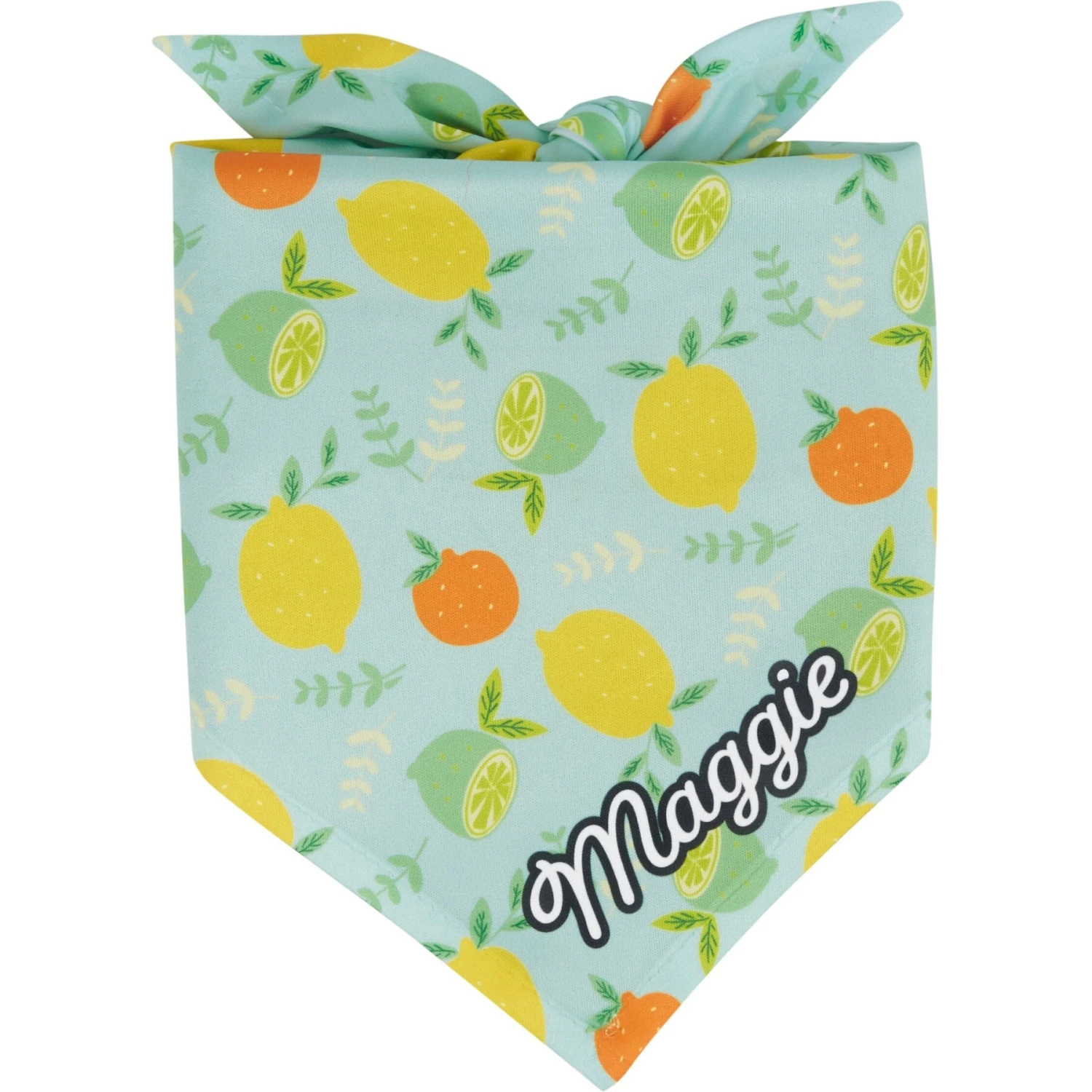 Frisco Citrus Personalized Dog & Cat Bandana 1 Frisco Citrus Personalized Dog & Cat Bandana