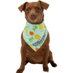 Frisco Citrus Personalized Dog & Cat Bandana 15 Frisco Citrus Personalized Dog & Cat Bandana -Frisco Sales Store 258758 PT6. AC SS1800 V1619560354