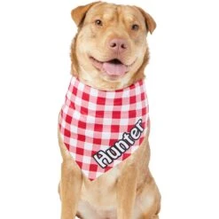Frisco Gingham Personalized Dog & Cat Bandana -Frisco Sales Store 258775 PT6. AC SS1800 V1619558303