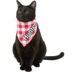 Frisco Gingham Personalized Dog & Cat Bandana -Frisco Sales Store 258775 PT7. AC SS1800 V1619558565