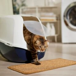 Frisco Sisal Mat -Frisco Sales Store 259250 PT3. AC SS1800 V1675279993