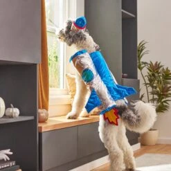 Frisco Rocket Ship Dog & Cat Costume 15 Frisco Rocket Ship Dog & Cat Costume -Frisco Sales Store 260904 PT8. AC SS1800 V1624400386