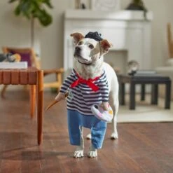 Frisco Front Walking French Artist Dog & Cat Costume -Frisco Sales Store 260956 PT8. AC SS1800 V1689623916