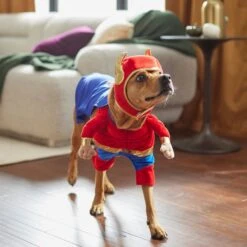 Frisco Front Walking Superhero Dog & Cat Costume 15 Frisco Front Walking Superhero Dog & Cat Costume -Frisco Sales Store 261083 PT8. AC SS1800 V1624399471