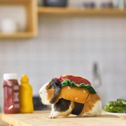 Frisco Hotdog Guinea Pig Costume, One Size -Frisco Sales Store 261093 PT8. AC SS1800 V1624454761