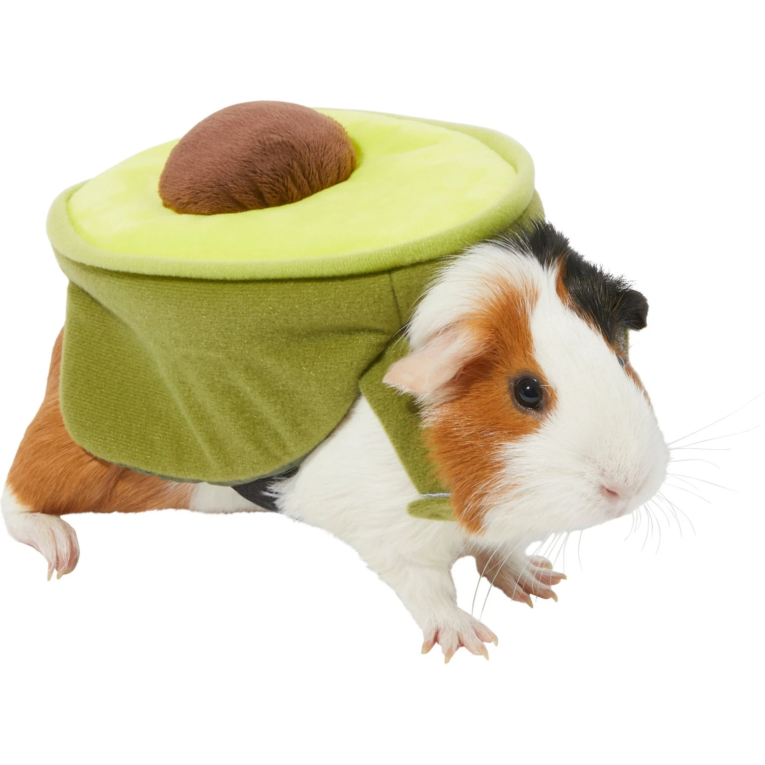 Frisco Avocado Guinea Pig Costume, One Size 1 Frisco Avocado Guinea Pig Costume, One Size