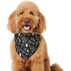 Frisco Glow In The Dark Mystical Print Dog & Cat Bandana -Frisco Sales Store 261218 PT3. AC SS1800 V1633068720