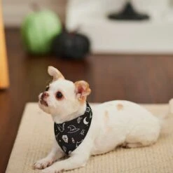 Frisco Glow In The Dark Mystical Print Dog & Cat Bandana -Frisco Sales Store 261218 PT5. AC SS1800 V1633057869